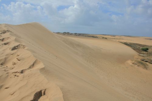 Fotografia de Sebastian - Galeria Fotografica: Rocha - Uruguay - Foto: 