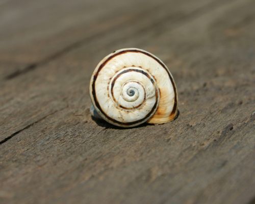 Fotografia de Manuel Sanz - Galeria Fotografica: Paisajes y Naturaleza - Foto: 