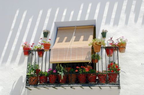 Fotografia de Manuel Sanz - Galeria Fotografica: Paisajes y Naturaleza - Foto: 