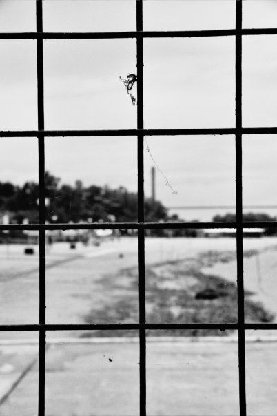 Fotografia de Sebastin - Galeria Fotografica: Ro Parana - Foto: 