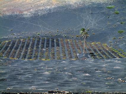 Fotografia de Sin Nombre - Galeria Fotografica: Lanzarote - Foto: 