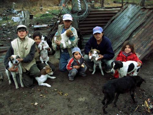 Fotografia de Sin Nombre - Galeria Fotografica: Nios grandes - Foto: la familia del perro