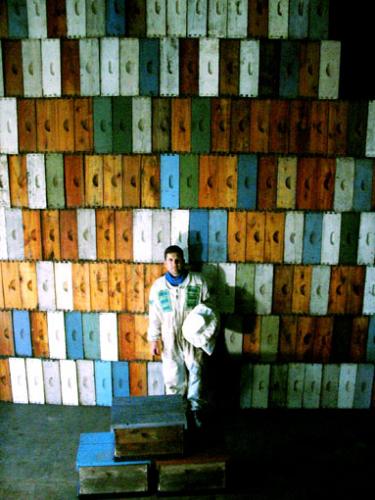 Fotografia de Sin Nombre - Galeria Fotografica: Trabajos Aca y de alla - Foto: El apicultor