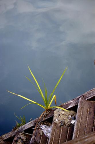 Fotografia de Sin Nombre - Galeria Fotografica: Paisajes-pinturas-fotos - Foto: humado