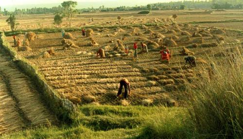 Fotografia de Sin Nombre - Galeria Fotografica: Paisajes-pinturas-fotos - Foto: El Campo