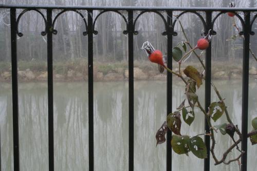 Fotografia de Alberto el cartero - Galeria Fotografica: Naturaleza - Foto: El Bocal