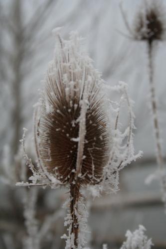 Fotografia de Alberto el cartero - Galeria Fotografica: Naturaleza - Foto: Laguna de Ablitas