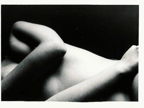 Fotografia de Sin Nombre - Galeria Fotografica: Flor al desnudo - Foto: 