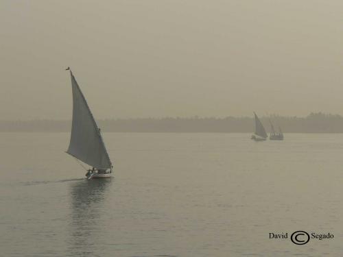 Fotografia de DavidSegado - Galeria Fotografica: Egipto - Foto: 