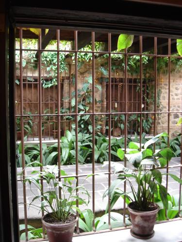 Fotografia de Vlady - Galeria Fotografica: Varios - Foto: Frente a Frente