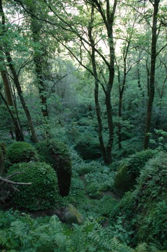 Fotografia de santi - Galeria Fotografica: Sosiego - Foto: 