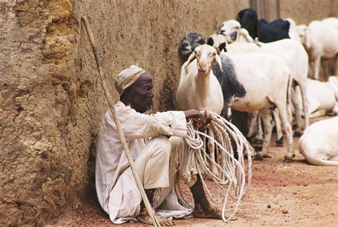 Fotografia de VATO - Galeria Fotografica: UN SOL MON; DIFERENTS CULTURES - Foto: MALI