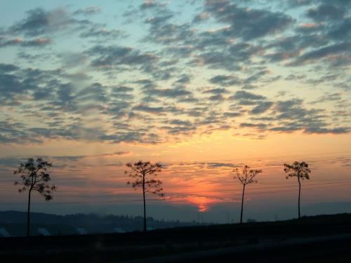 Fotografia de Xavi Arderius - Galeria Fotografica: Sol - Foto: 13 gen 06