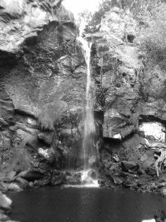 Fotografia de victor - Galeria Fotografica: B/N - Foto: cascada