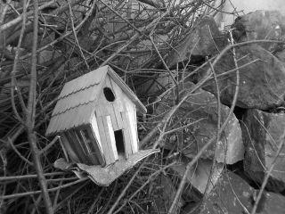 Fotografia de victor - Galeria Fotografica: B/N - Foto: Hogar