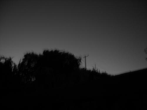 Fotografia de Crazy Diamond - Galeria Fotografica: Utopioc - Foto: Wind