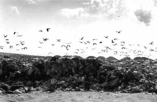 Fotografia de theiban - Galeria Fotografica: Madrid City, fotografias - Foto: Vertedero y Cigeal