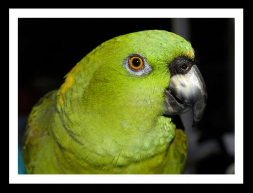 Fotografia de Momentos - Galeria Fotografica: Naturaleza - Foto: 