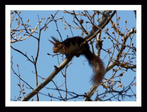 Fotografia de Momentos - Galeria Fotografica: Naturaleza - Foto: 