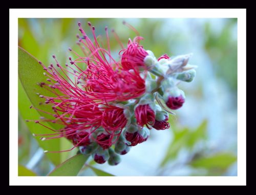 Fotografia de Momentos - Galeria Fotografica: Naturaleza - Foto: despertar