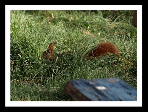 Fotografia de Momentos - Galeria Fotografica: Naturaleza - Foto: 