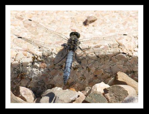 Fotografia de Momentos - Galeria Fotografica: Naturaleza - Foto: 