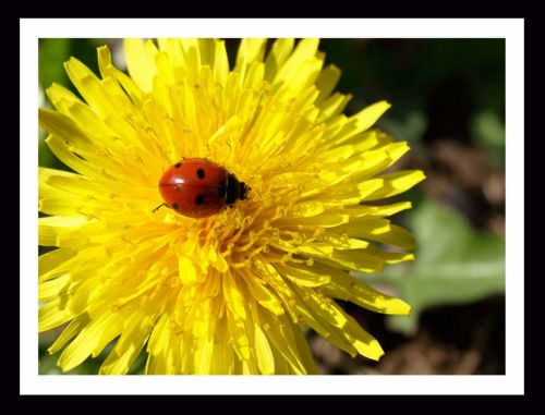 Fotografia de Momentos - Galeria Fotografica: Naturaleza - Foto: 