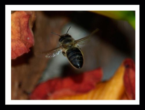 Fotografia de Momentos - Galeria Fotografica: Naturaleza - Foto: 