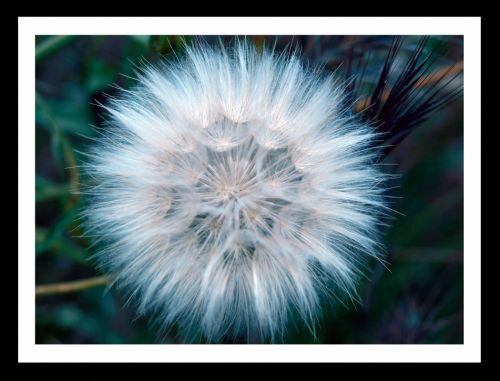 Fotografia de Momentos - Galeria Fotografica: Naturaleza - Foto: 