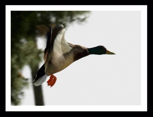 Fotografia de Momentos - Galeria Fotografica: Naturaleza - Foto: 