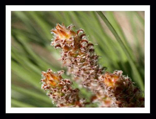 Fotografia de Momentos - Galeria Fotografica: Naturaleza - Foto: 