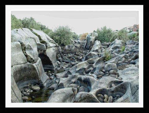 Fotografia de Momentos - Galeria Fotografica: Naturaleza - Foto: 