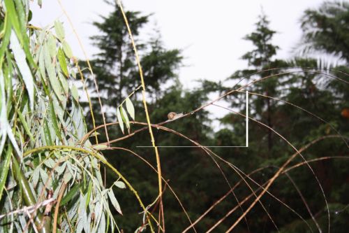 Fotografia de kida Gon�alves - Galeria Fotografica: Experimentando - Foto: 