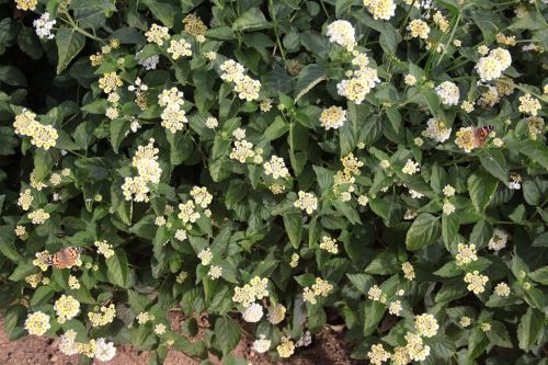 Fotografia de kida Gon�alves - Galeria Fotografica: Experimentando - Foto: 