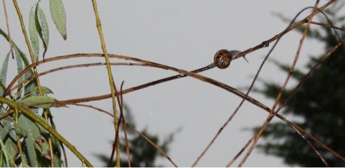 Fotografia de kida Gon�alves - Galeria Fotografica: Experimentando - Foto: 