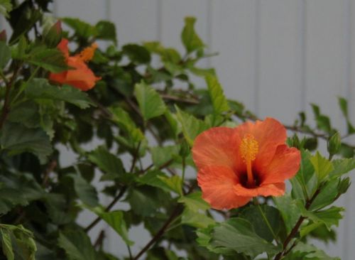 Fotografia de kida Gon�alves - Galeria Fotografica: Experimentando - Foto: 