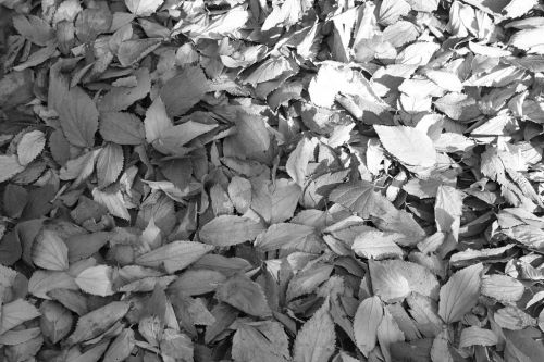 Fotografia de kida Gon�alves - Galeria Fotografica: Experimentando - Foto: 