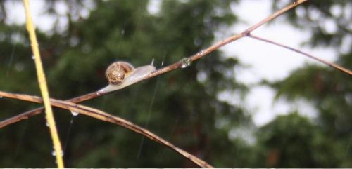 Fotografia de kida Gon�alves - Galeria Fotografica: Experimentando - Foto: 