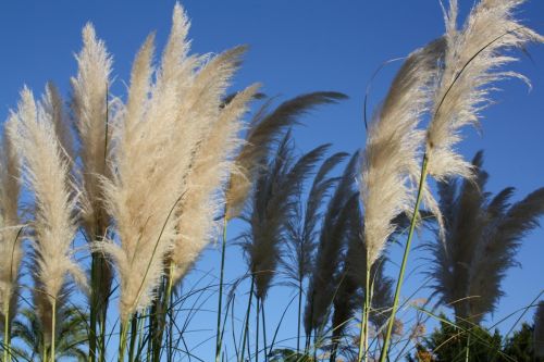 Fotografia de kida Gonalves - Galeria Fotografica: Experimentando - Foto: 