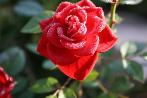 Fotografia de kida Gonalves - Galeria Fotografica: Experimentando - Foto: 