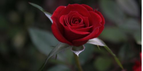 Fotografia de kida Gon�alves - Galeria Fotografica: Experimentando - Foto: 