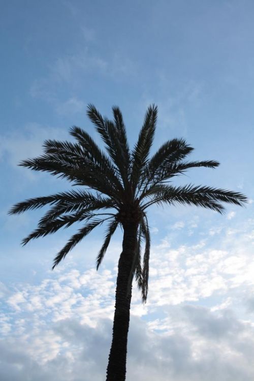 Fotografia de kida Gon�alves - Galeria Fotografica: Experimentando - Foto: 