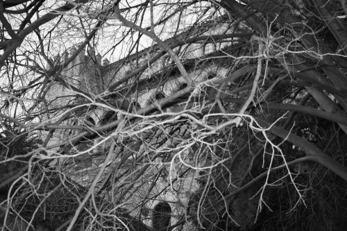 Fotografia de kida Gonalves - Galeria Fotografica: Experimentando - Foto: 