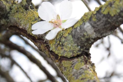 Fotografia de kida Gonalves - Galeria Fotografica: Experimentando - Foto: 