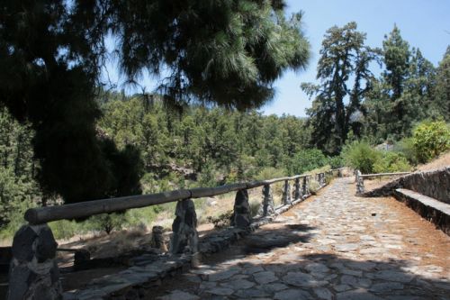 Fotografia de juanperez1949 - Galeria Fotografica: Naturaleza - Foto: Parque del 