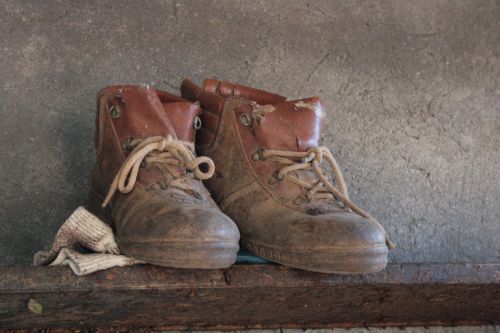 Fotografia de juanperez1949 - Galeria Fotografica: Naturaleza - Foto: Jubilacion