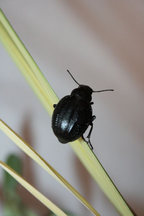 Fotografia de juanperez1949 - Galeria Fotografica: Naturaleza - Foto: Equilibrio