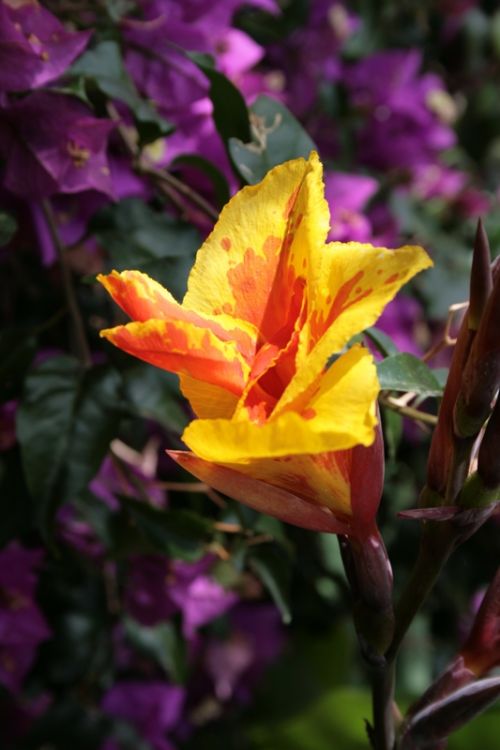 Fotografia de juanperez1949 - Galeria Fotografica: Naturaleza - Foto: 