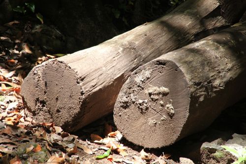 Fotografia de juanperez1949 - Galeria Fotografica: Naturaleza - Foto: 