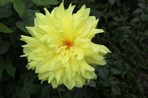 Fotografia de juanperez1949 - Galeria Fotografica: Naturaleza - Foto: 